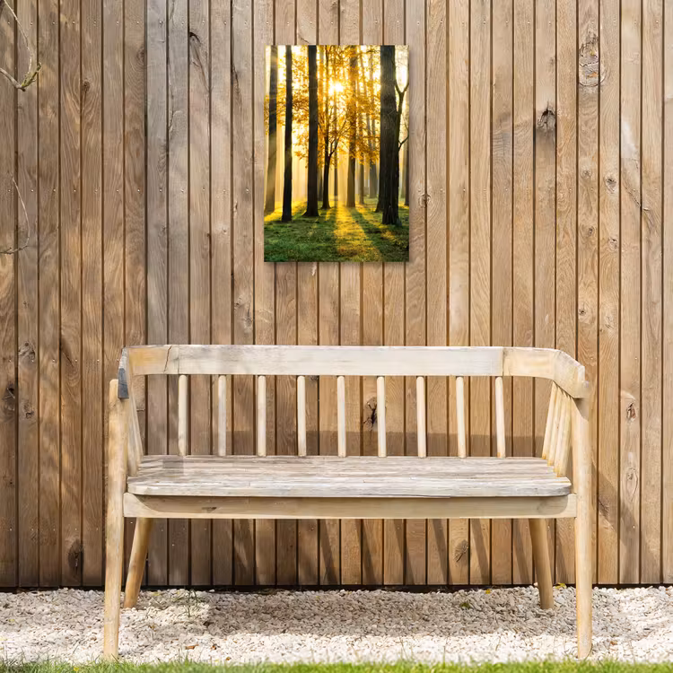 Bos - Zon - Bomen - Gras - Landschap  - Natuur Tuinposter op houten frame 2 cm dik klein -sfeer4