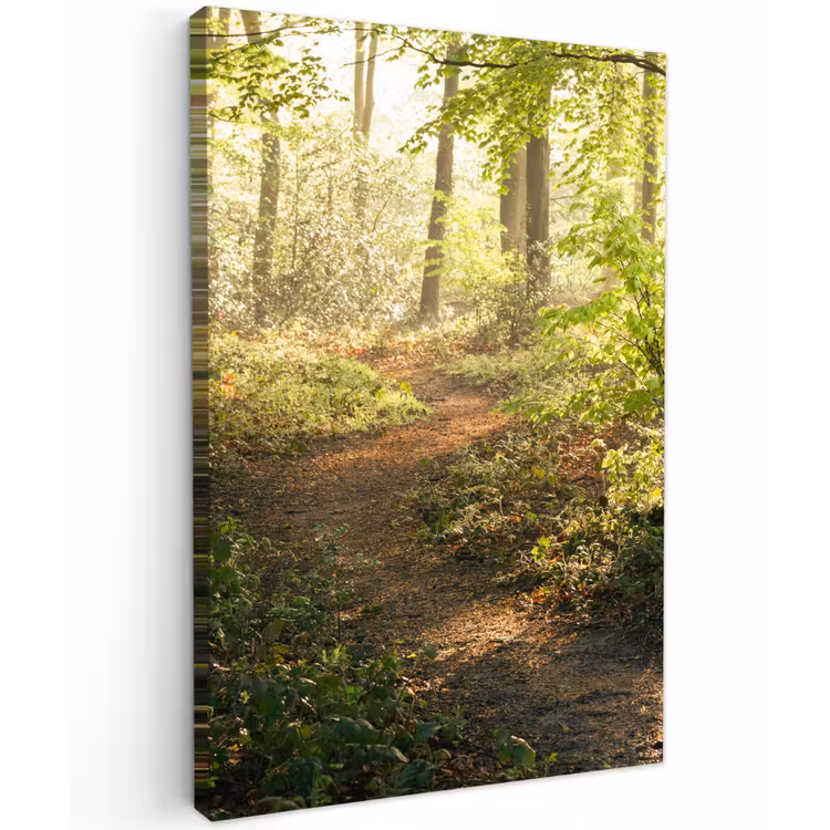 Bos - Bomen - Pad - Zon - Planten - Bladeren - Natuur Tuinposter op houten frame 2 cm dik klein -3d
