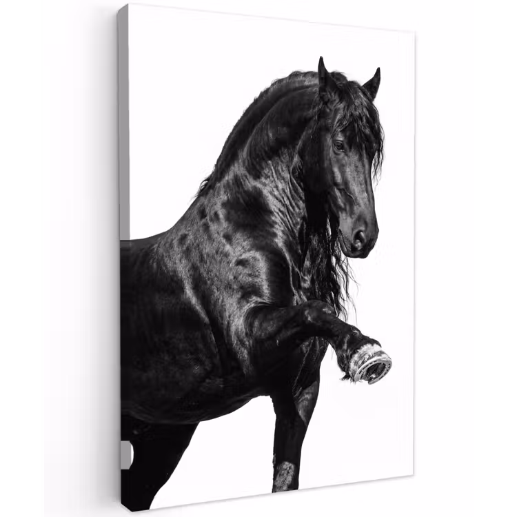 Fries - Hengst - Modern Tuinposter op houten frame 2 cm dik klein -3d