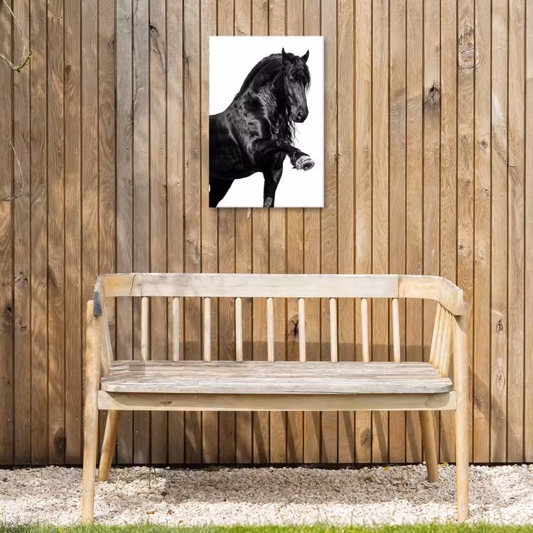 Fries - Hengst - Modern Tuinposter op houten frame 2 cm dik klein -sfeer4
