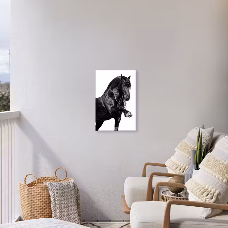 Fries - Hengst - Modern Tuinposter op houten frame 2 cm dik klein -sfeer1