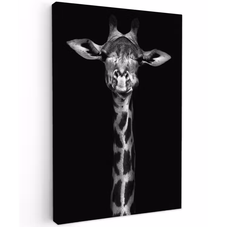 Giraffe portret in zwart-wit Tuinposter op houten frame 2 cm dik klein -3d