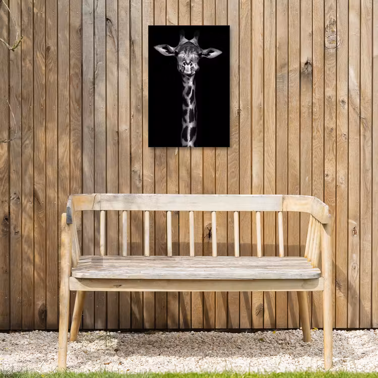 Giraffe portret in zwart-wit Tuinposter op houten frame 2 cm dik klein -sfeer4