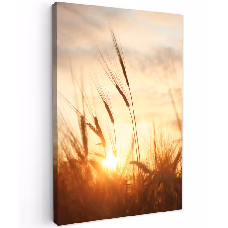 Gouden Graanveld bij Zonsopgang Tuinposter op houten frame 2 cm dik klein -3d