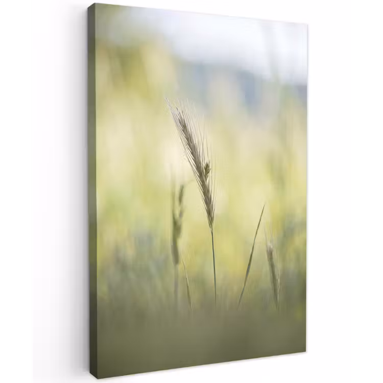 Graan - Aar - Natuur - Groen - Detail Tuinposter op houten frame 2 cm dik klein -3d