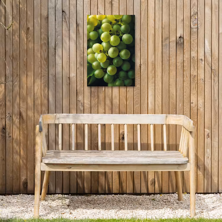 Druiven - Tros - Groen Tuinposter op houten frame 2 cm dik klein -sfeer4