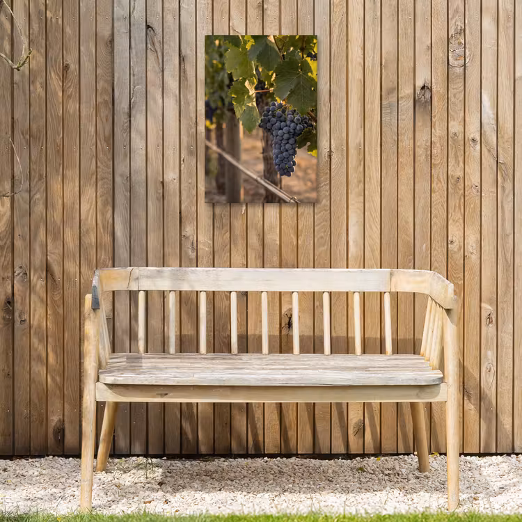 Druiven - Wijngaard - Zonlicht Tuinposter op houten frame 2 cm dik klein -sfeer4