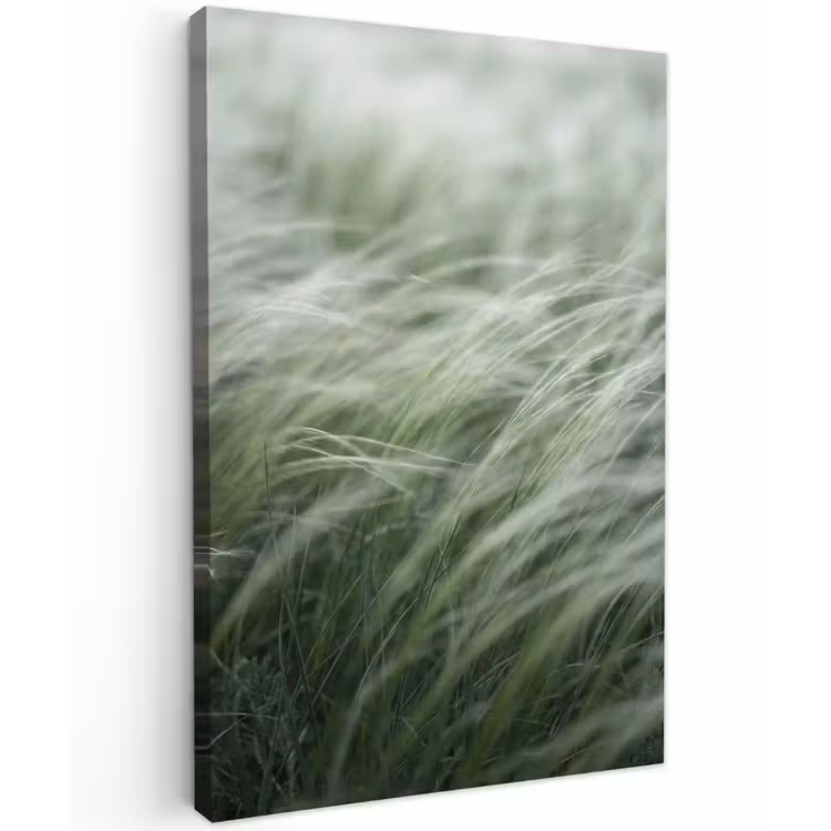 Gras - Wazig - Natuur - Groen - Zacht Tuinposter op houten frame 2 cm dik klein -3d