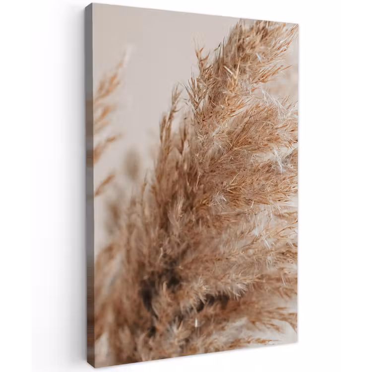 Gras - Planten - Natuur - Pampasgras Tuinposter op houten frame 2 cm dik klein -3d