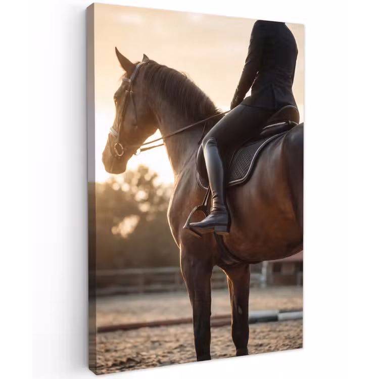 Harmonie - Ruiter - Zon Tuinposter op houten frame 2 cm dik klein -3d