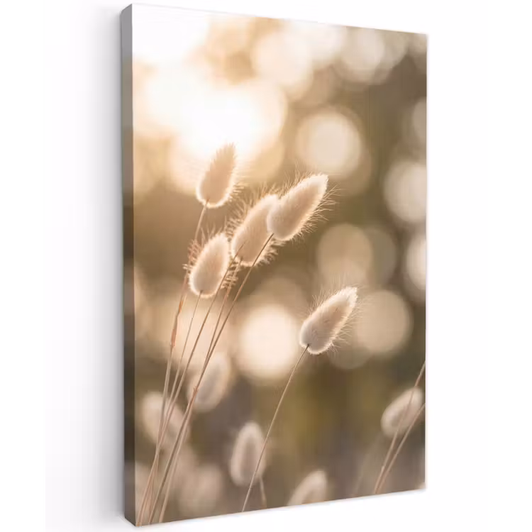 Hazestaartgras - Wit - Zonlicht Tuinposter op houten frame 2 cm dik klein -3d