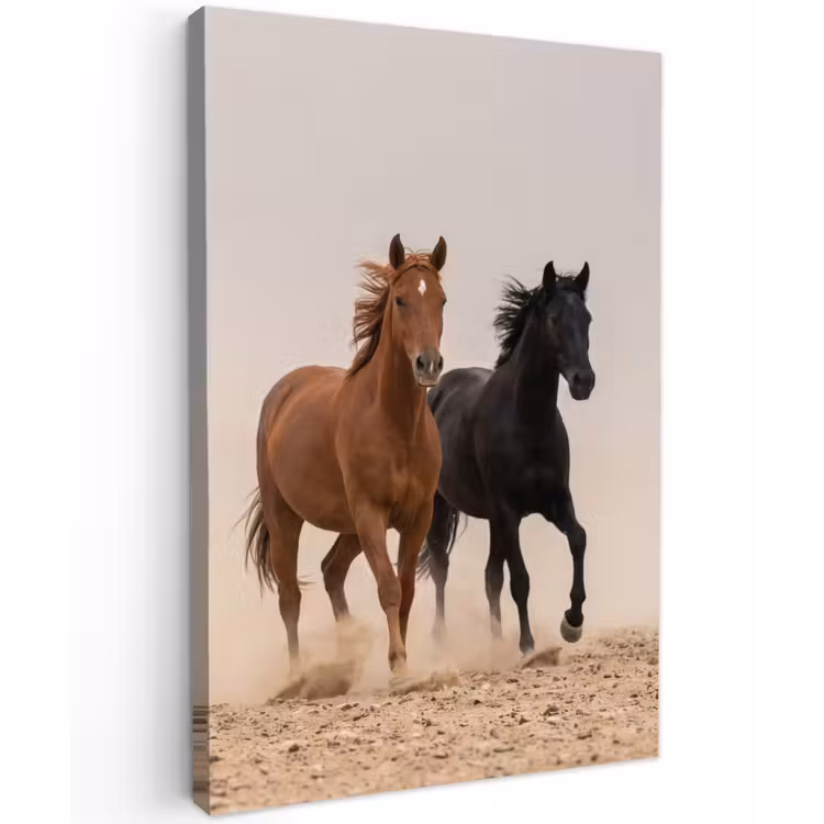 Kudde paarden - Stofwolk - Bruin - Zwart Tuinposter op houten frame 2 cm dik klein -3d