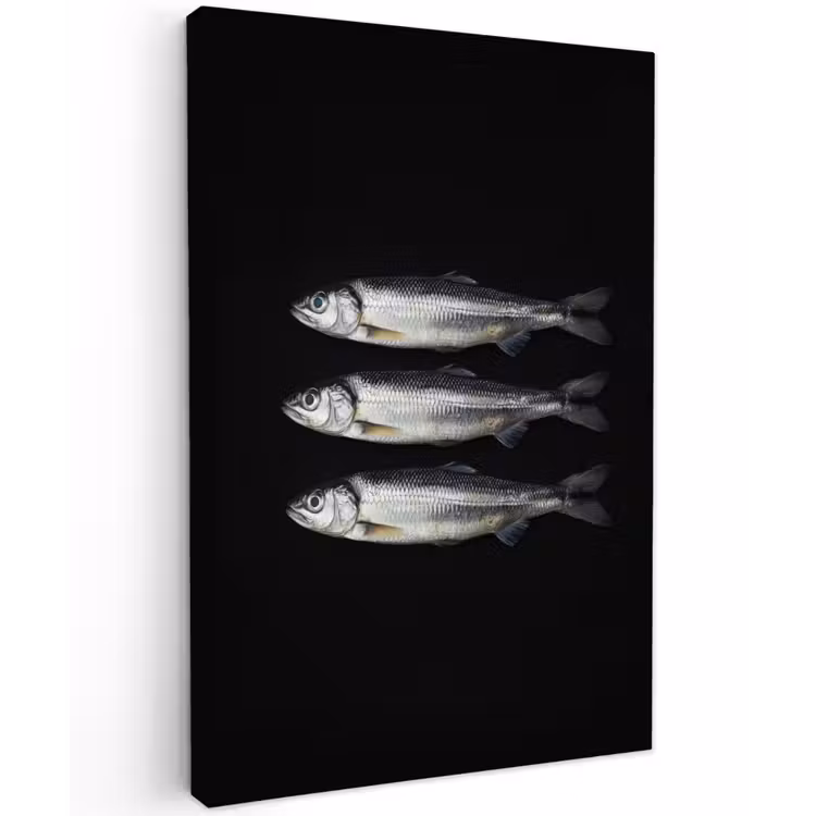 Haring - Vissen - Zwart Tuinposter op houten frame 2 cm dik klein -3d