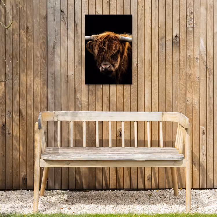 Hooglander tegen Zwarte Achtergrond Tuinposter op houten frame 2 cm dik klein -sfeer4