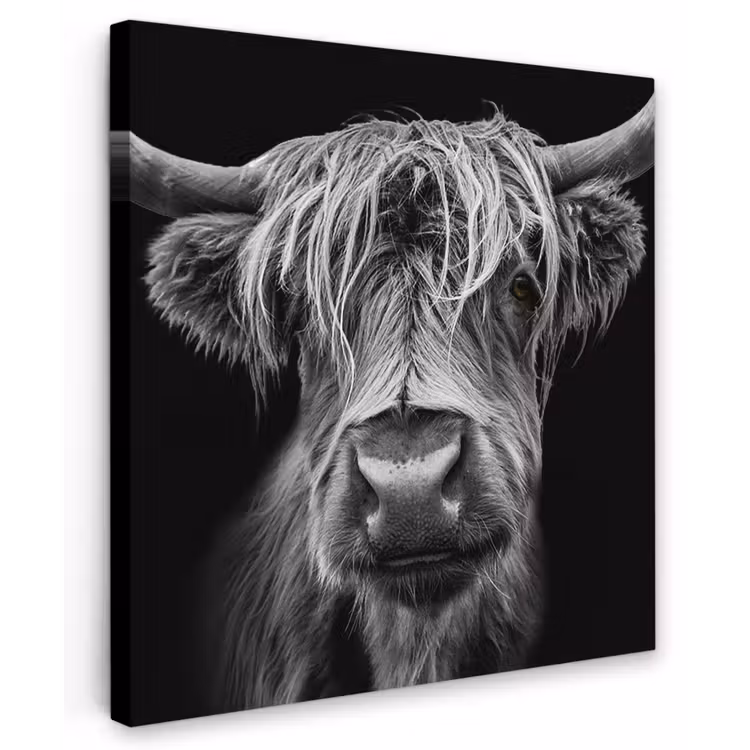 Hooglander in Zwart-Wit Tuinposter op houten frame 2 cm dik klein -3d
