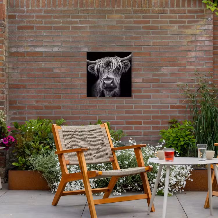 Hooglander in Zwart-Wit Tuinposter op houten frame 2 cm dik klein -sfeer3