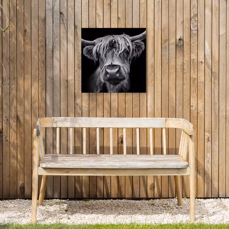 Hooglander in Zwart-Wit Tuinposter op houten frame 2 cm dik klein -sfeer4