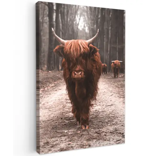 Hooglander in het Bos Tuinposter op houten frame 2 cm dik klein -3d
