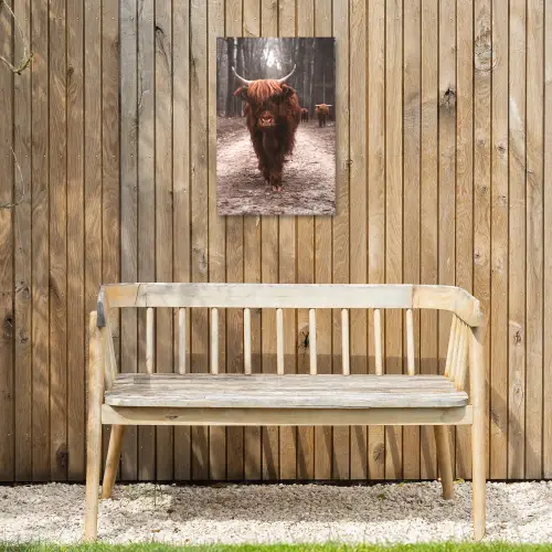 Hooglander in het Bos Tuinposter op houten frame 2 cm dik klein -sfeer4
