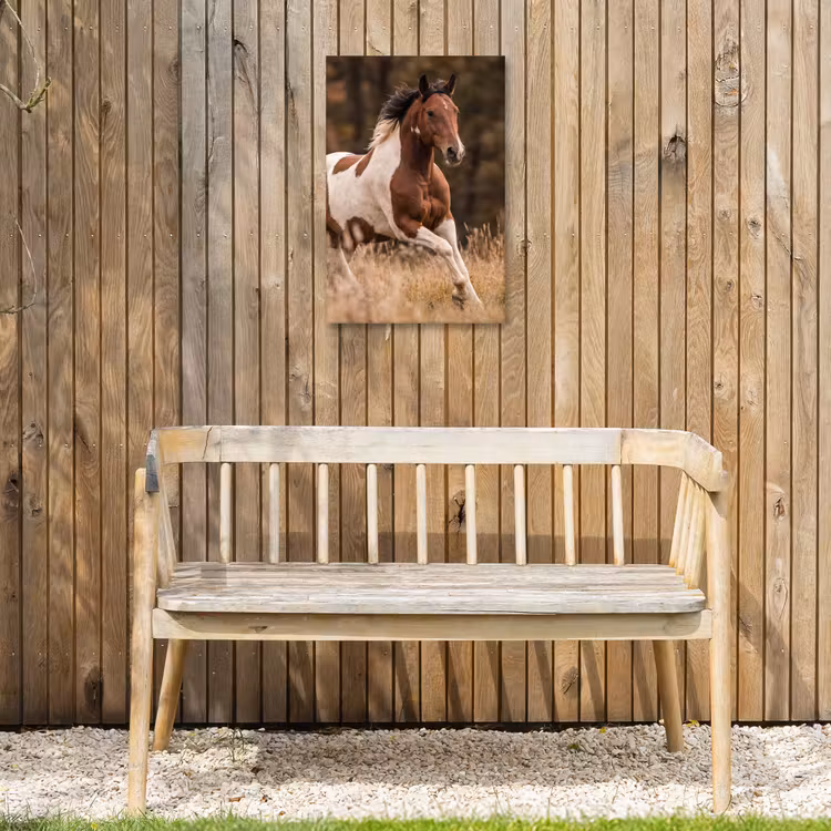 Paard - Bruin - Gras Tuinposter op houten frame 2 cm dik klein -sfeer4