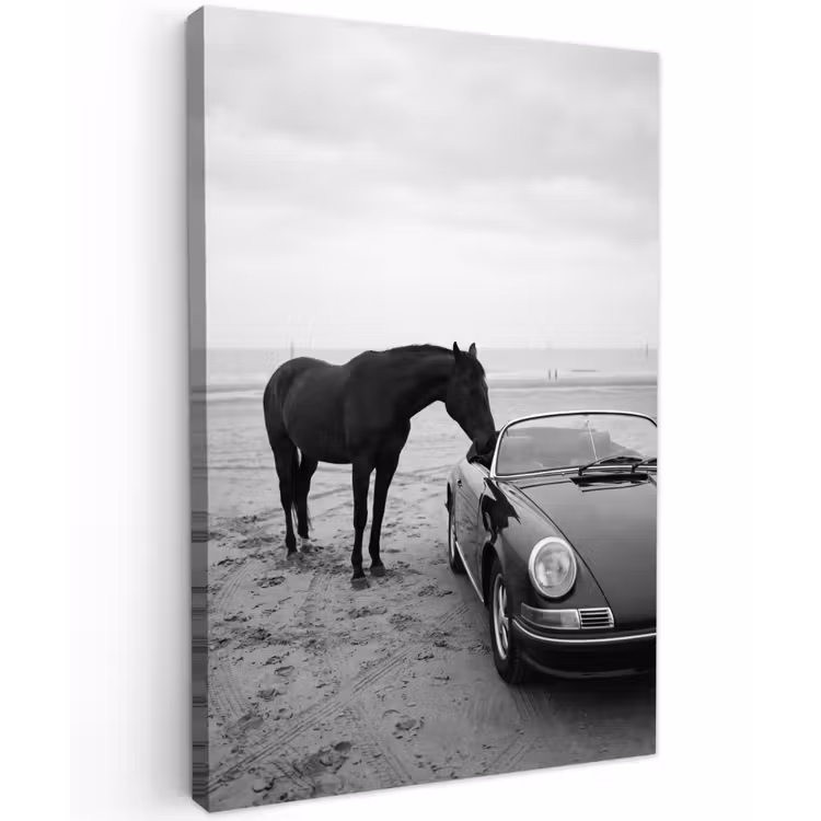 Paard - Auto - Zwart - Wit Tuinposter op houten frame 2 cm dik klein -3d