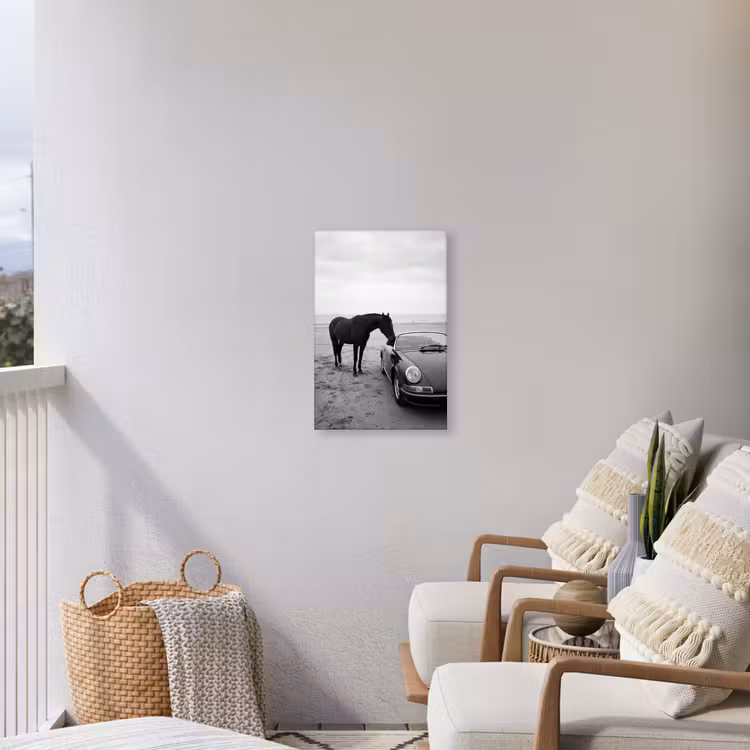 Paard - Auto - Zwart - Wit Tuinposter op houten frame 2 cm dik klein -sfeer1