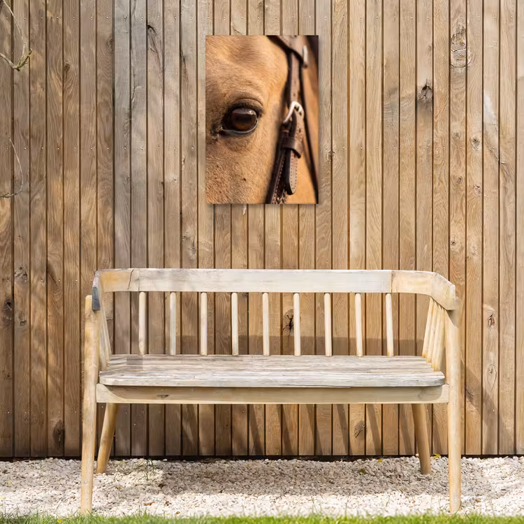 Paard - Oog - Bruin Tuinposter op houten frame 2 cm dik klein -sfeer4