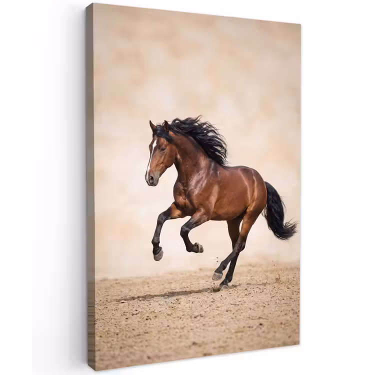 Paard - Galop - Energie Tuinposter op houten frame 2 cm dik klein -3d