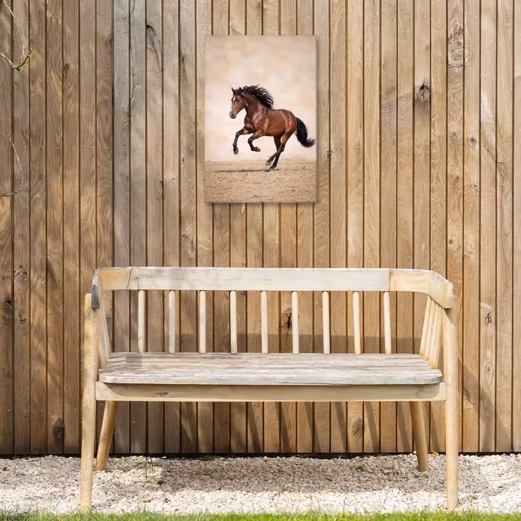 Paard - Galop - Energie Tuinposter op houten frame 2 cm dik klein -sfeer4