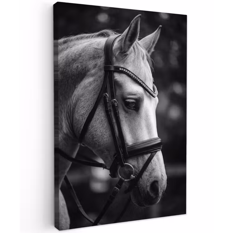 Paard - Schimmel - Portret Tuinposter op houten frame 2 cm dik klein -3d