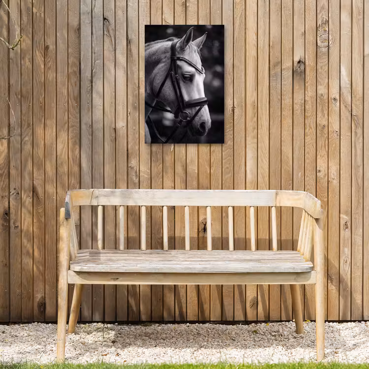 Paard - Schimmel - Portret Tuinposter op houten frame 2 cm dik klein -sfeer4