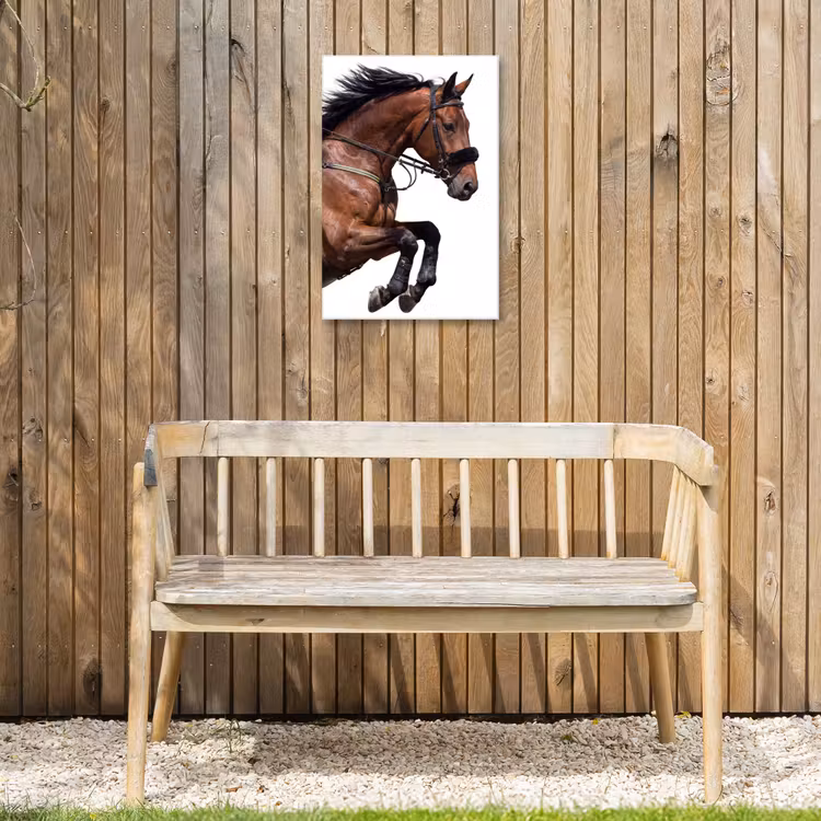 Paard - Springen - Modern Tuinposter op houten frame 2 cm dik klein -sfeer4