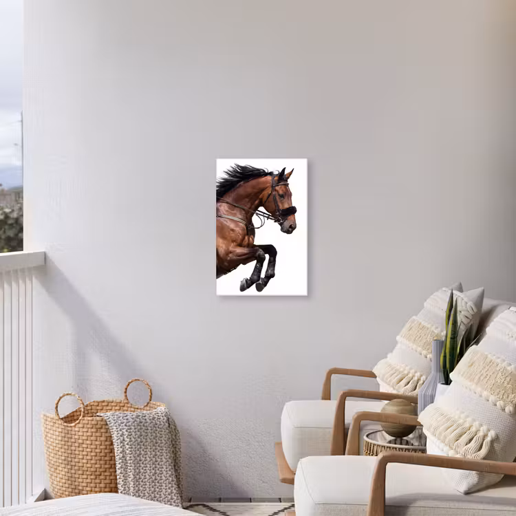 Paard - Springen - Modern Tuinposter op houten frame 2 cm dik klein -sfeer1