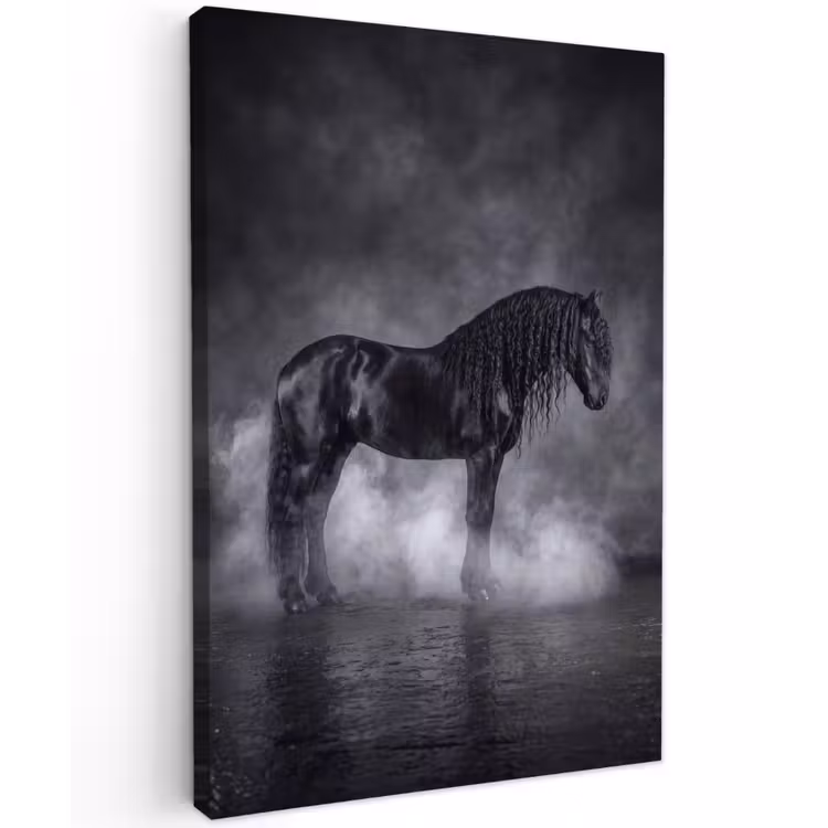 Paard - Magisch - Zwart Tuinposter op houten frame 2 cm dik klein -3d