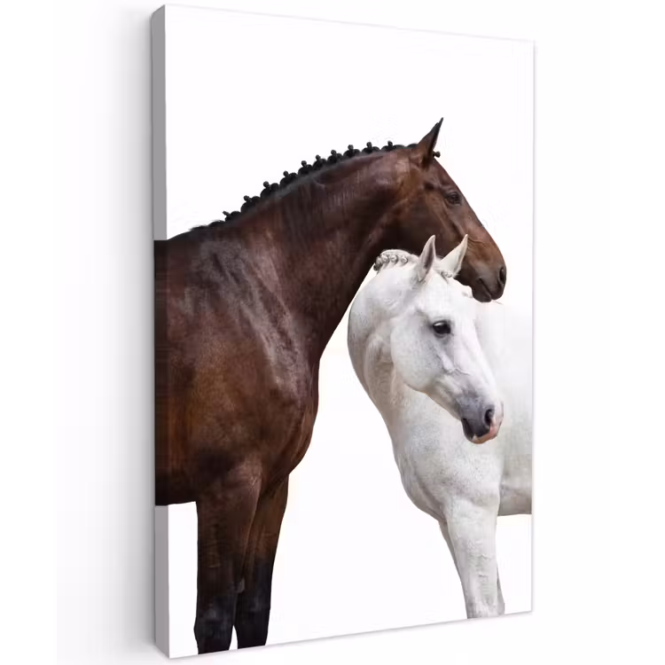 Paard - Modern - Balans Tuinposter op houten frame 2 cm dik klein -3d