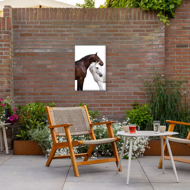 Paard - Modern - Balans Tuinposter op houten frame 2 cm dik klein -sfeer3