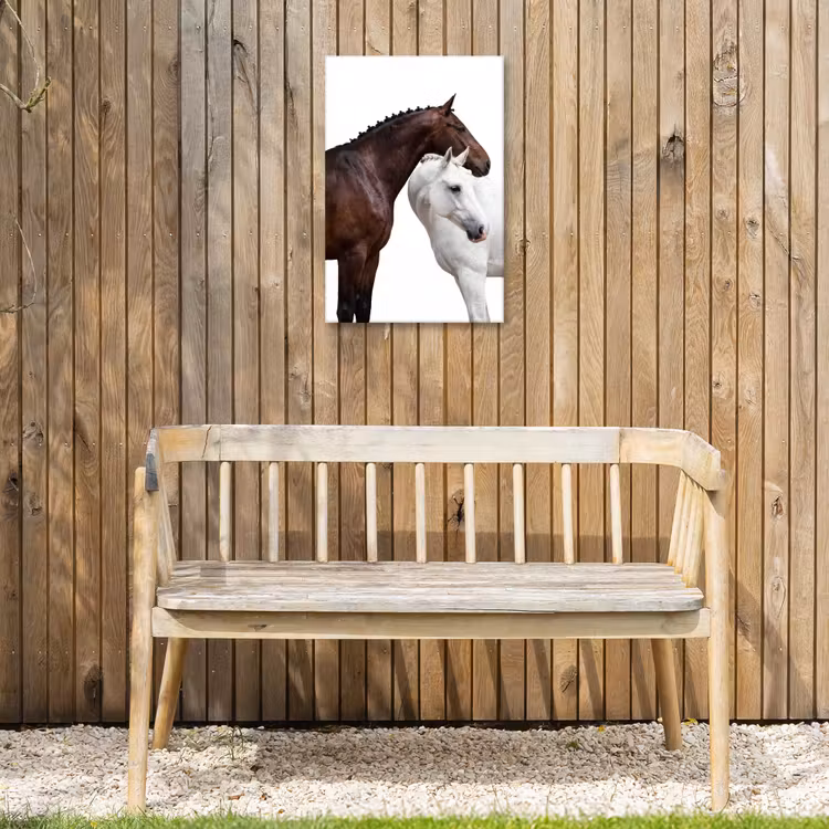 Paard - Modern - Balans Tuinposter op houten frame 2 cm dik klein -sfeer4