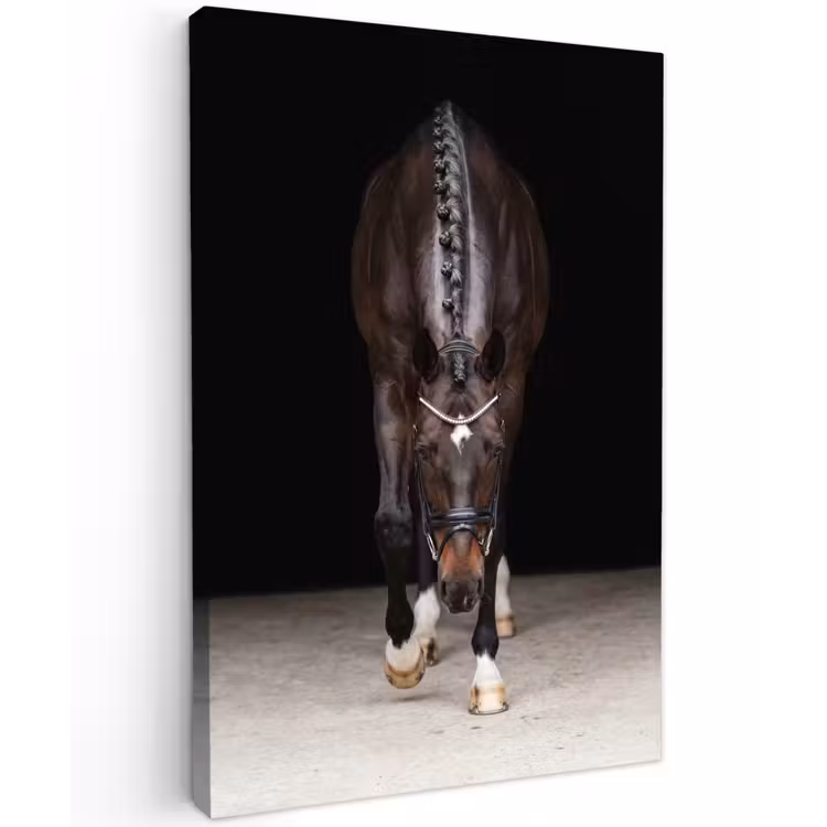 Paard - Modern - Portret Tuinposter op houten frame 2 cm dik klein -3d