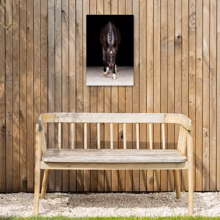 Paard - Modern - Portret Tuinposter op houten frame 2 cm dik klein -sfeer4