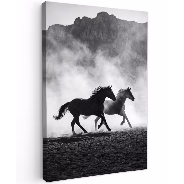 Paard - Ren - Stof - Zwart-wit - Dieren Tuinposter op houten frame 2 cm dik klein -3d
