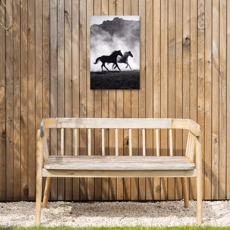 Paard - Ren - Stof - Zwart-wit - Dieren Tuinposter op houten frame 2 cm dik klein -sfeer4