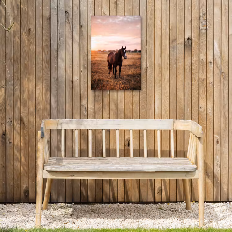 Paard - Zonsondergang - Bruin Tuinposter op houten frame 2 cm dik klein -sfeer4