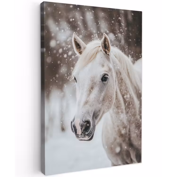 Paard - Wit - Winter - Natuur - Sneeuw - Dieren Tuinposter op houten frame 2 cm dik klein -3d