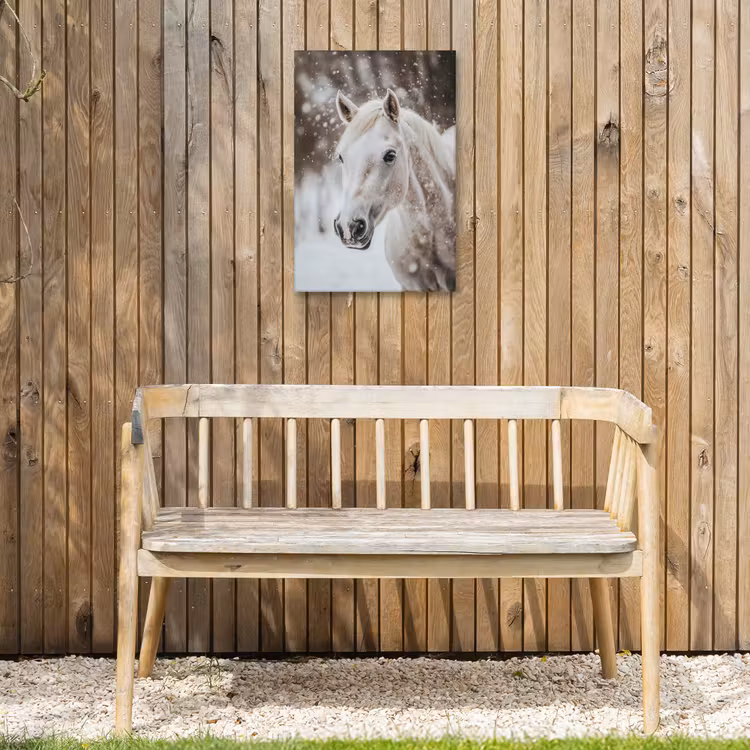 Paard - Wit - Winter - Natuur - Sneeuw - Dieren Tuinposter op houten frame 2 cm dik klein -sfeer4