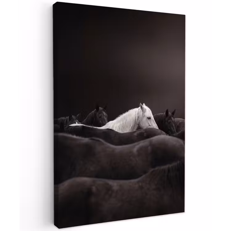 Paarden - Zwart - Wit - Kudde Tuinposter op houten frame 2 cm dik klein -3d
