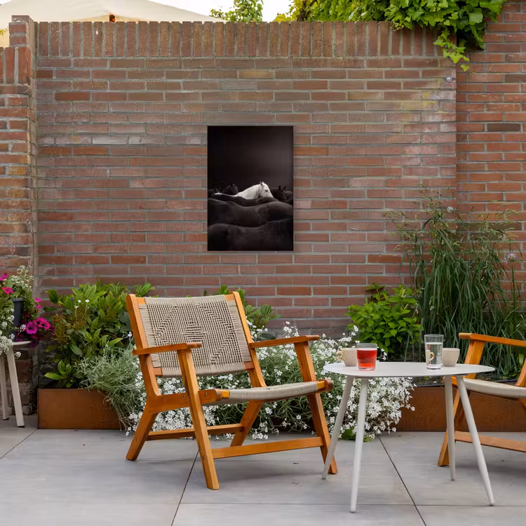 Paarden - Zwart - Wit - Kudde Tuinposter op houten frame 2 cm dik klein -sfeer3
