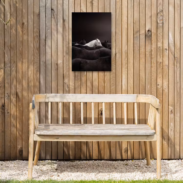 Paarden - Zwart - Wit - Kudde Tuinposter op houten frame 2 cm dik klein -sfeer4