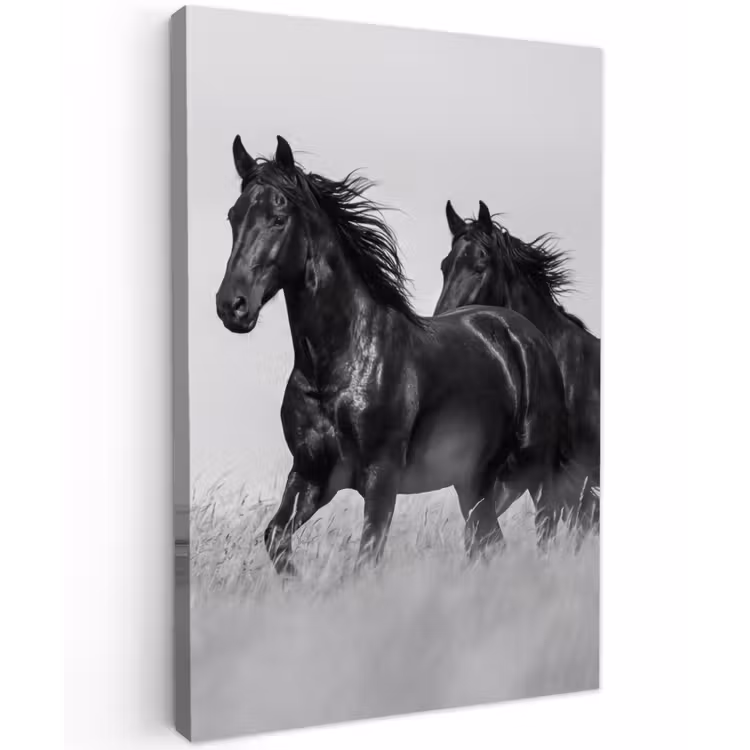 Paarden - Gras - Zwart - Wit Tuinposter op houten frame 2 cm dik klein -3d