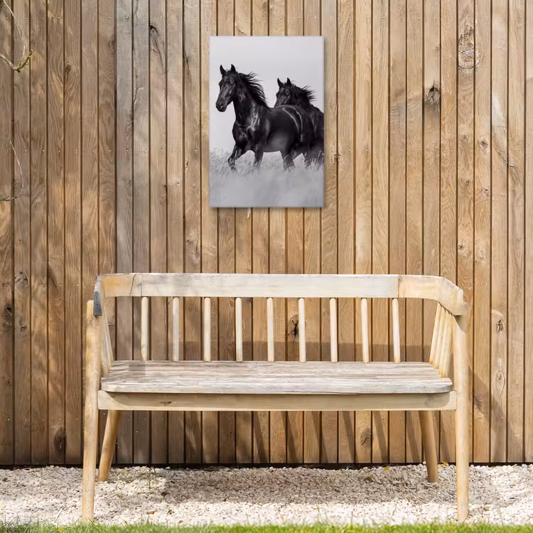 Paarden - Gras - Zwart - Wit Tuinposter op houten frame 2 cm dik klein -sfeer4