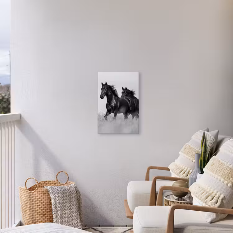 Paarden - Gras - Zwart - Wit Tuinposter op houten frame 2 cm dik klein -sfeer1